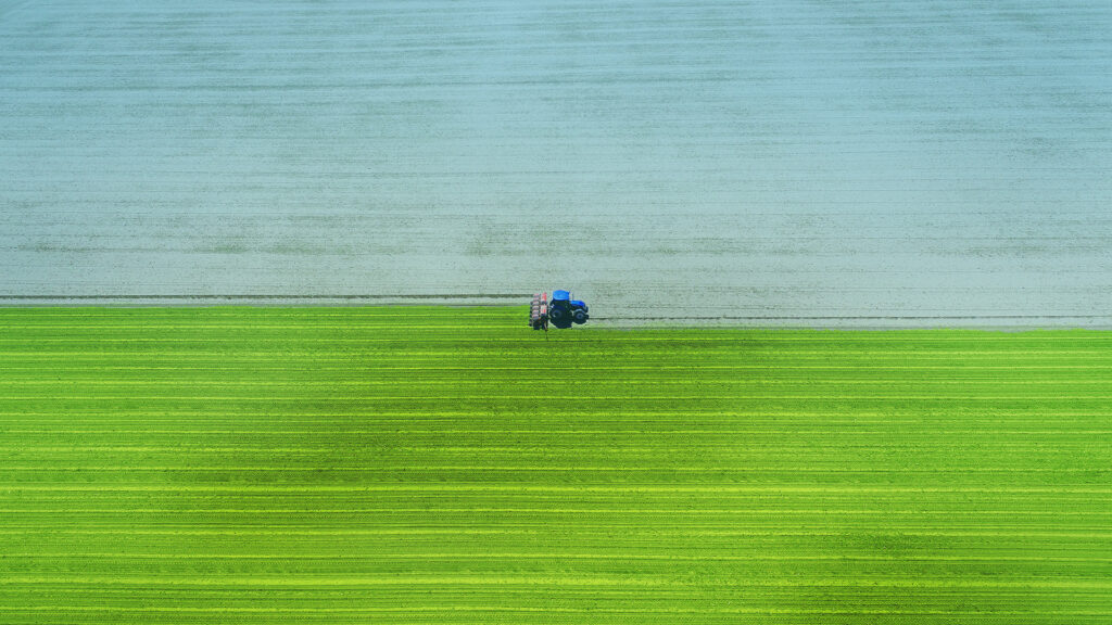 Aerial view of a field